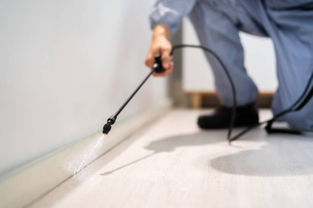 Licensed Rodent Control service in Fulshear, TX - Nex Pest Control
