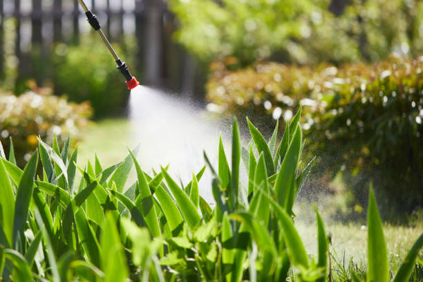 24/7 Emergency Rodent Control experts in Fulshear, TX