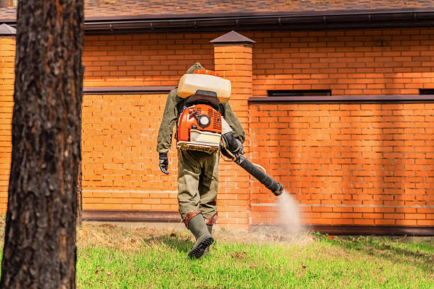 Trusted Ant Control service in Fulshear, TX - Nex Pest Control